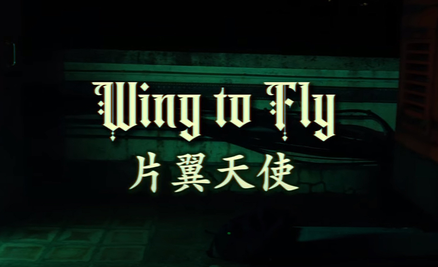 wing_to_fly_thumbnail