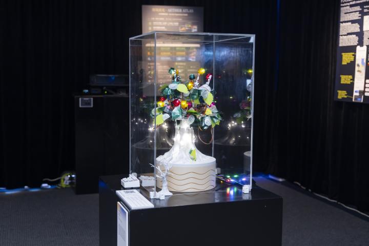 grp4_display2